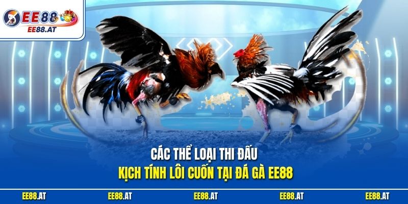 Các thể loại thi đấu kịch tính lôi cuốn tại đá gà EE88