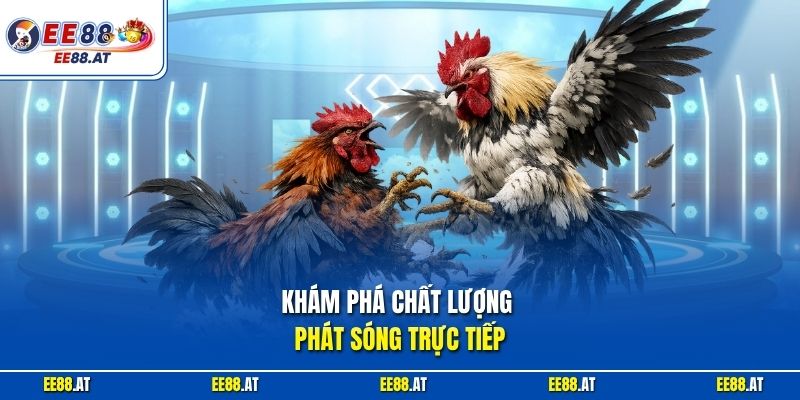 Khám phá chất lượng phát sóng trực tiếp